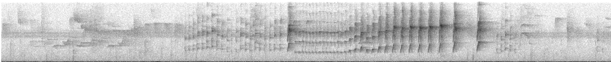 Anabate montagnard - ML620592349