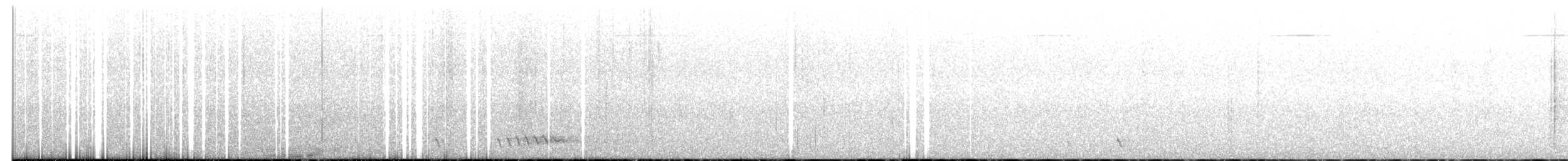 Prachtbartvogel - ML620592864