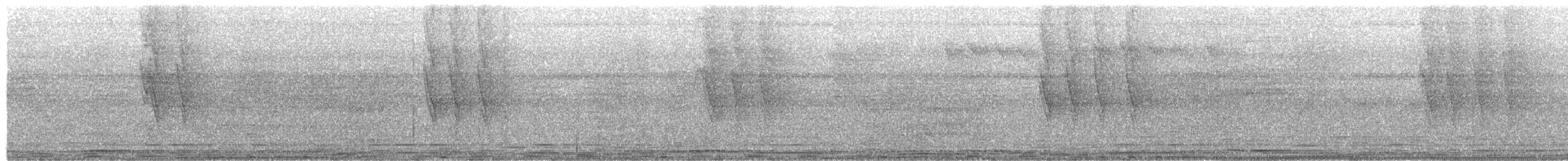 Зондский дронго (bimaensis) - ML620592917