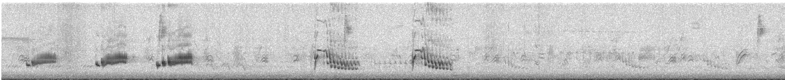 Northern Mockingbird - ML620594202