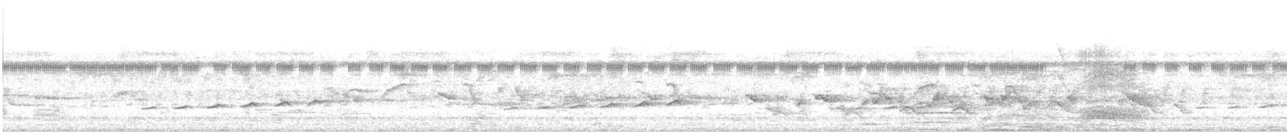 Вилохвостая дронговая кукушка - ML620594953