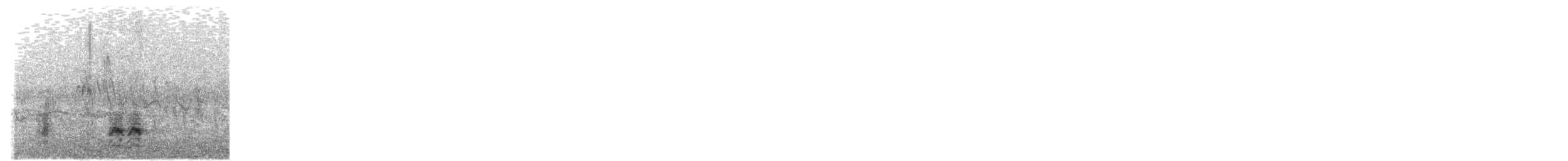 Great Reed Warbler - ML620596907
