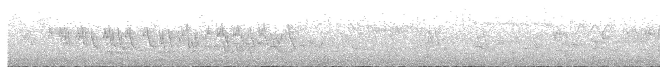 Greenish Warbler - ML620597267