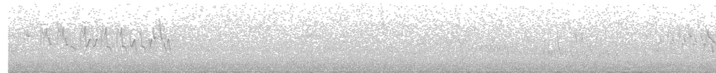 Greenish Warbler - ML620597269