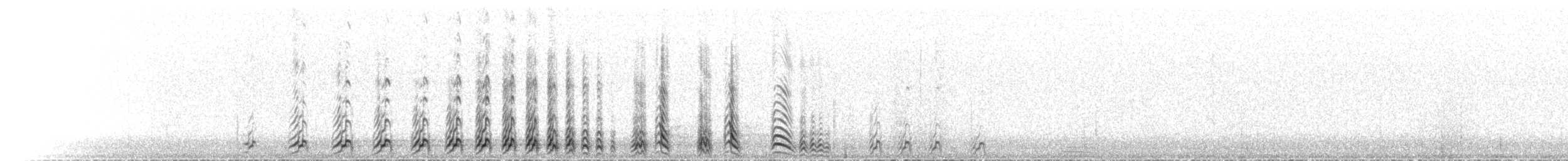 Tétraogalle du Tibet - ML620597671