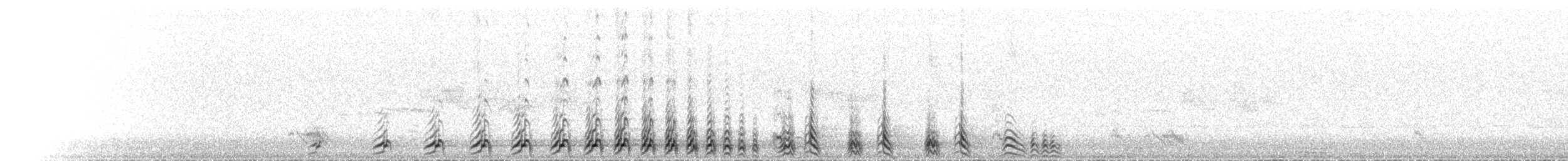 Tétraogalle du Tibet - ML620597673