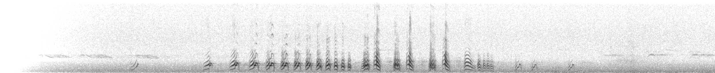 Tétraogalle du Tibet - ML620597674