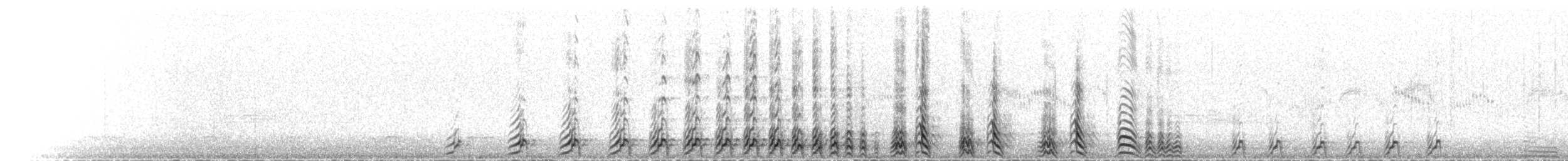 Perdigallo Tibetano - ML620597676