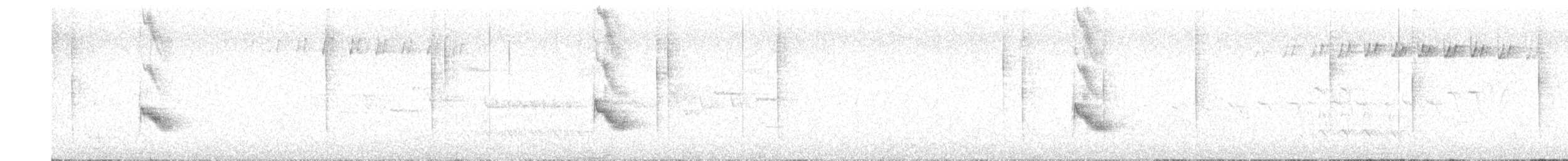Дрізд-короткодзьоб канадський - ML620599348