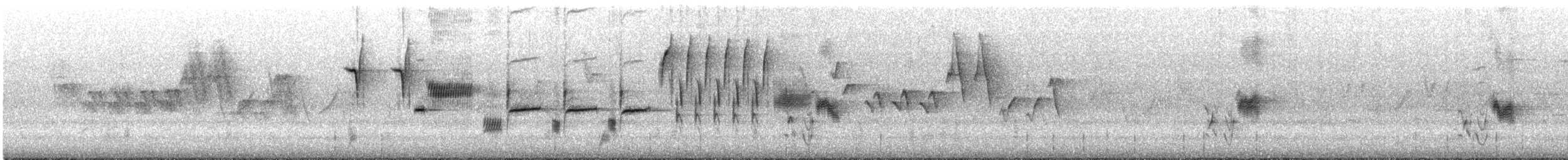 strnadec zpěvný (ssp. melodia/atlantica) - ML620600109