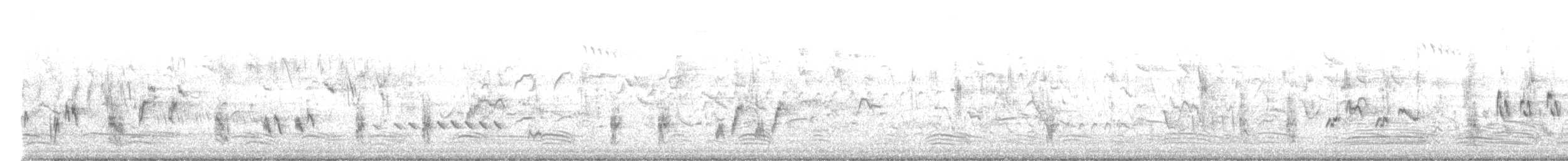Australian Reed Warbler - ML620600265