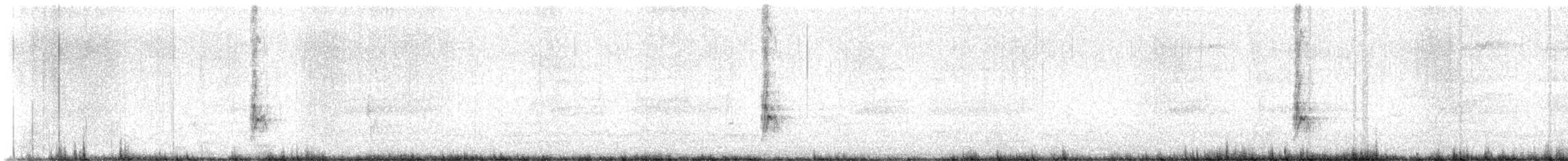 Schwarzstirn-Schneegimpel (umbrina) - ML620601875