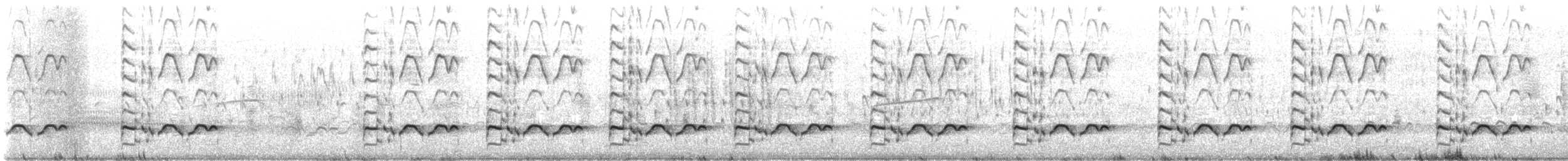 Chevalier semipalmé (semipalmata) - ML620603865