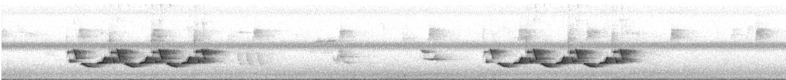 Каролинский крапивник - ML620605272