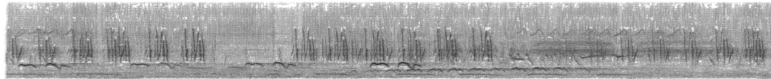 Dschungelprinie - ML620605810