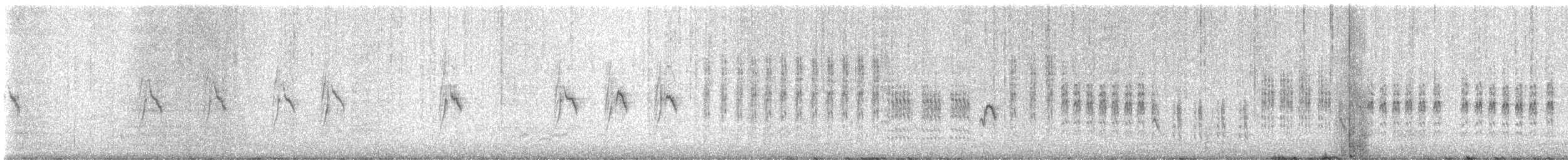 Phragmite des joncs - ML620607717