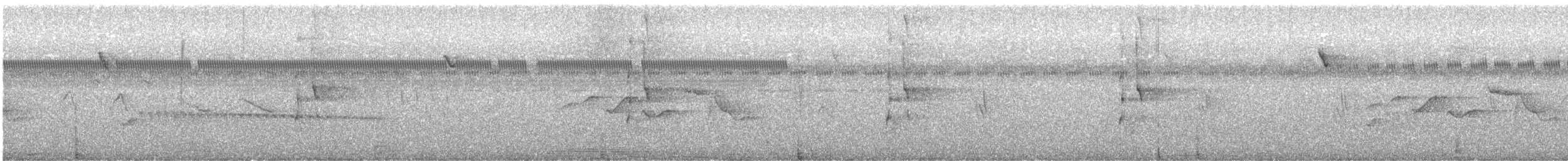 Аракарі плямистоволий [група torquatus] - ML620608668