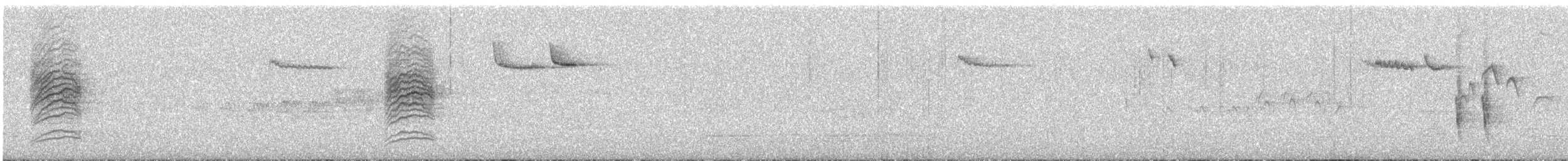 Дрізд-короткодзьоб плямистоволий - ML620608832