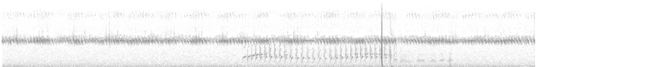 bartramie dlouhoocasá - ML620610925