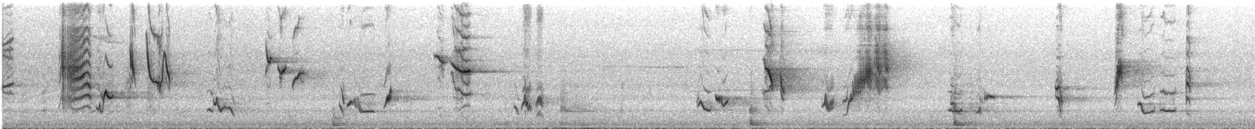 drozdec černohlavý - ML620613582