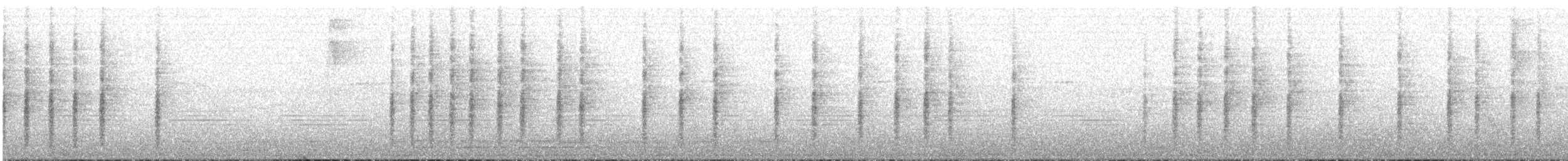 Troglodyte à long bec - ML620616856