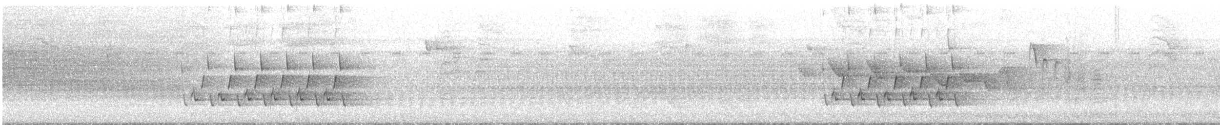 Поплітник каролінський - ML620623345