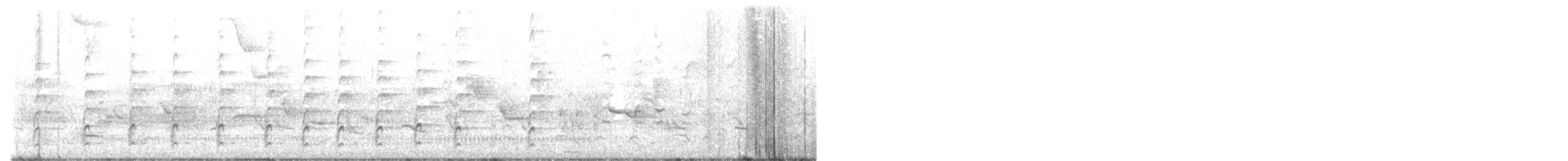 Schwarznacken-Stelzenläufer (mexicanus) - ML620624768