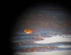 Siberian Sand-Plover - ML620627270