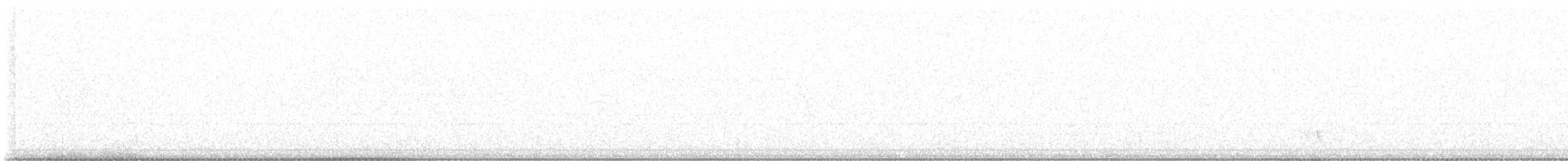 Méliphage carillonneur - ML620628266