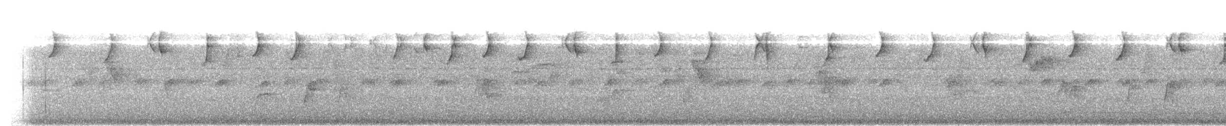 Серогорлый колибри-отшельник - ML620628546