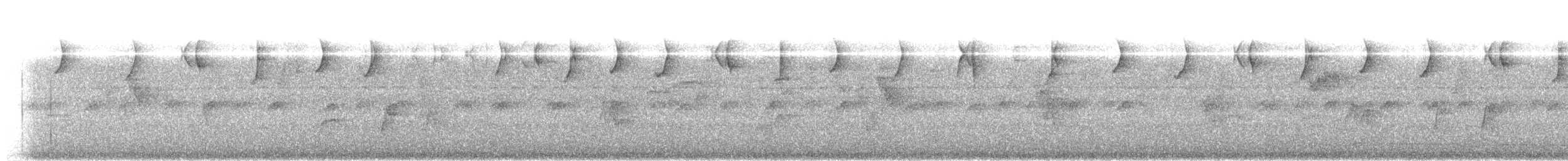 Серогорлый колибри-отшельник - ML620628548