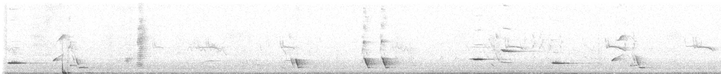 Méliphage carillonneur - ML620628877