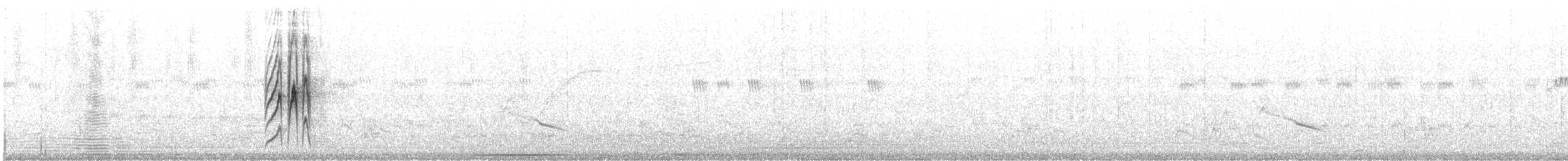 Mouse-colored Tyrannulet (Southern) - ML620635355