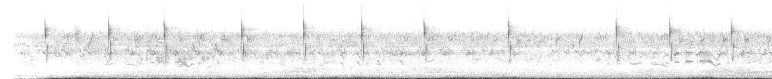 Cisticole des joncs - ML620637091