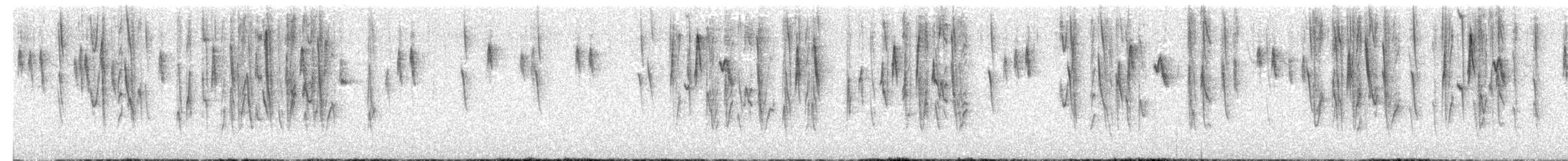 Riesenspitzschnabel - ML620637530