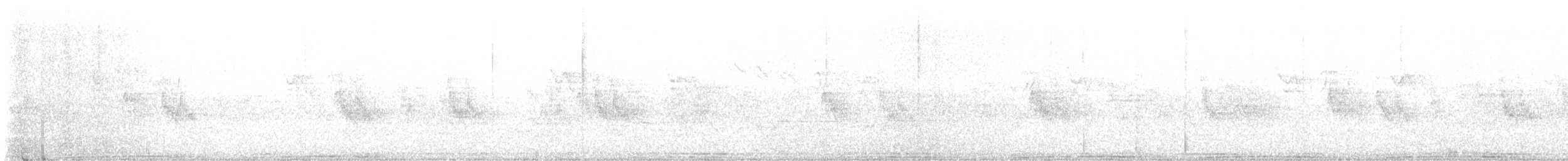 Кулик-сорока (ostralegus/longipes) - ML620637829