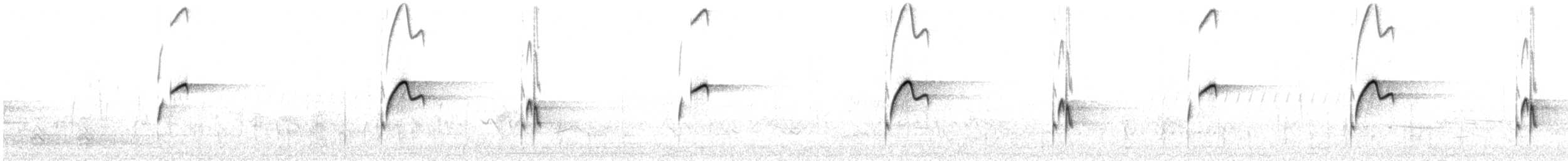 Batı Amerika Sinekkapanı (occidentalis/hellmayri) - ML620637847