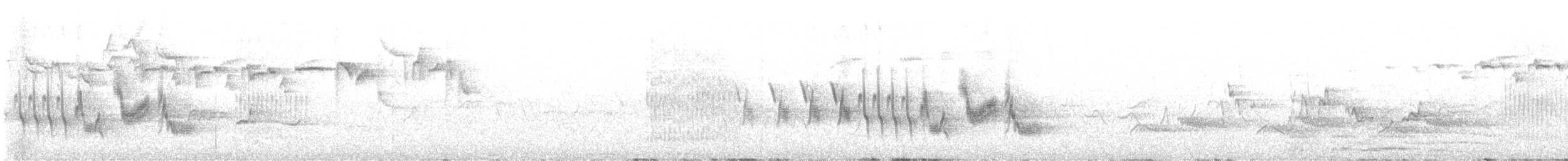 קיכלי גדול - ML620637865