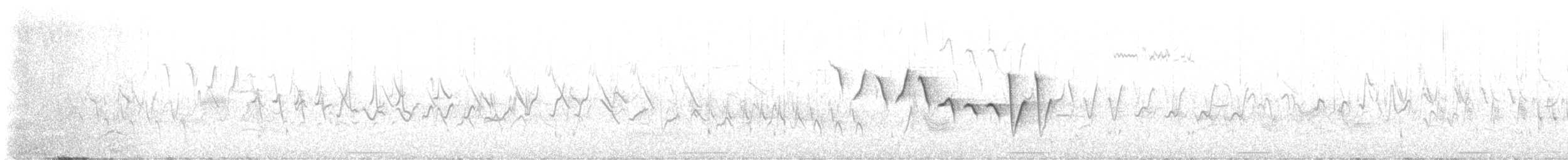 עלווית אפורה - ML620638005