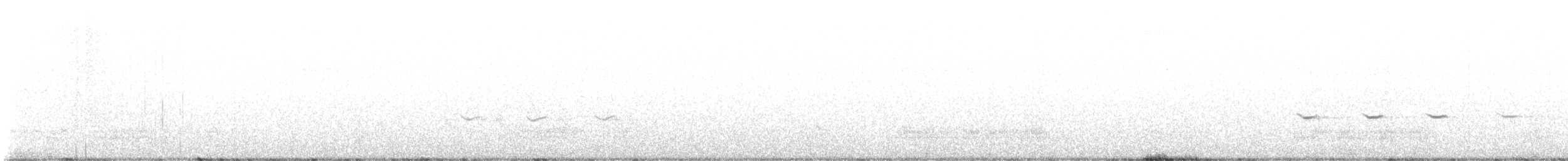 Boğmaklı Ardıç (torquatus) - ML620638053