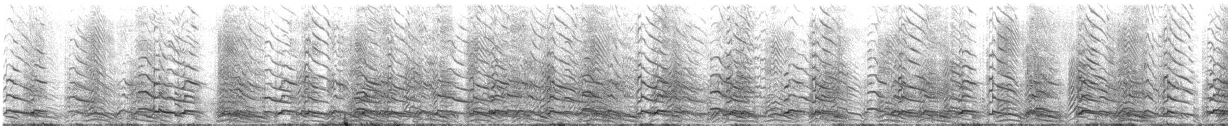 Lesser Black-backed Gull (graellsii) - ML620638376