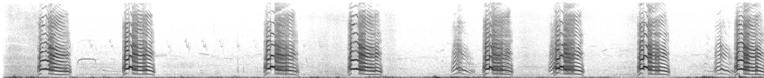 Lesser Black-backed Gull (graellsii) - ML620638377