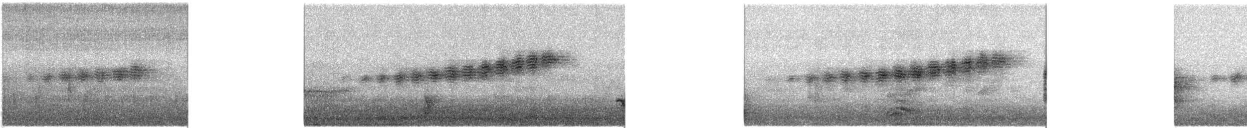 Prairie Warbler - ML620642757