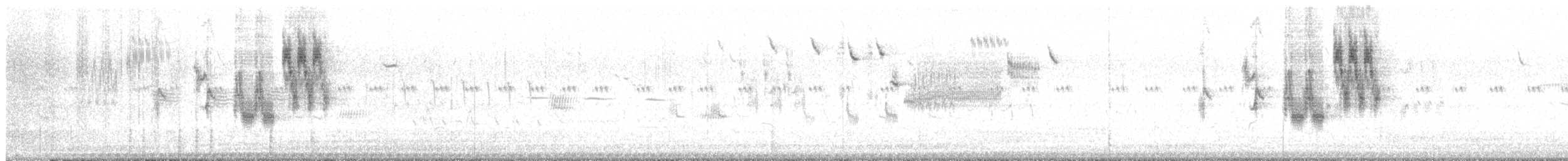 sisselspurv - ML620645448