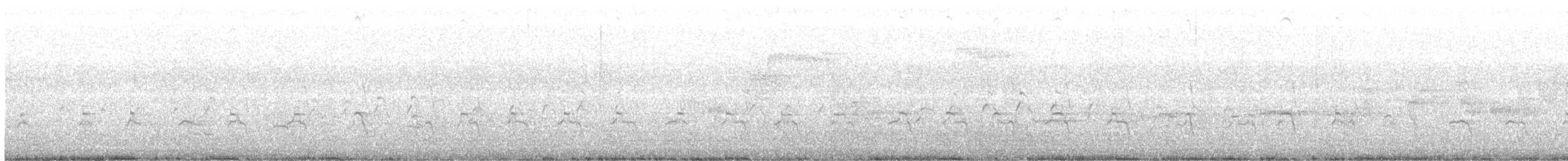 Svasso maggiore - ML620645652