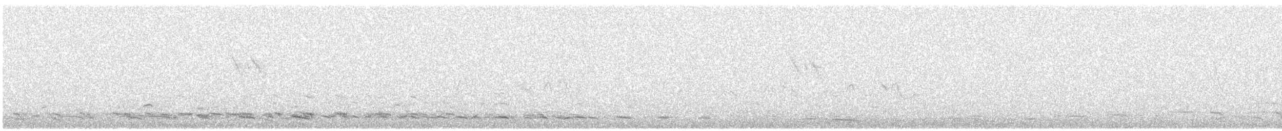 Black-tailed Godwit - ML620646997