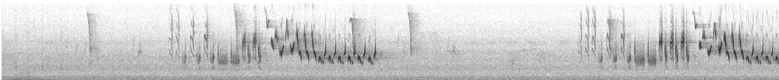 Troglodyte familier - ML620648013