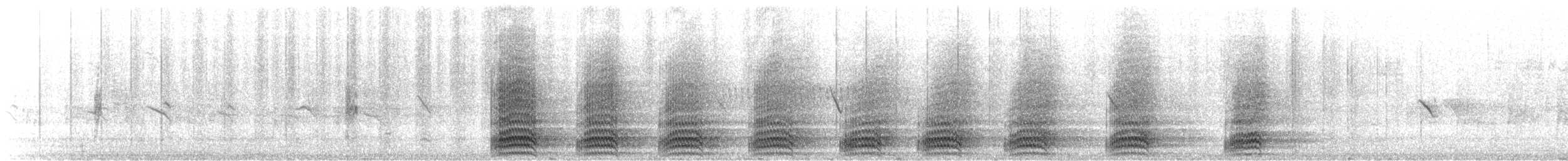 עורב שחור - ML620648798