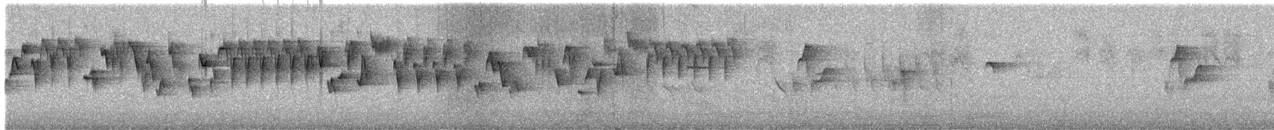 Troglodyte de Baird - ML620648864