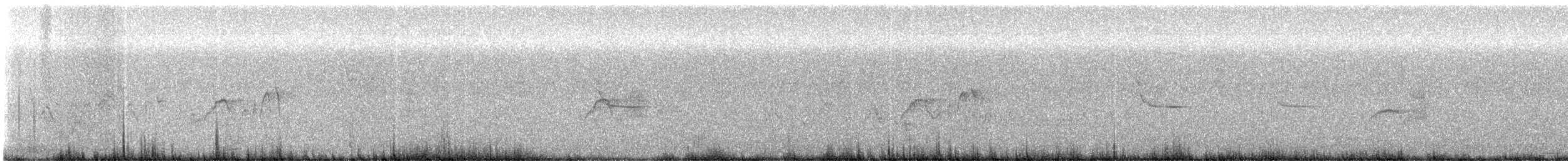 Чёрный x Светлобрюхий фиби (гибрид) - ML620650022